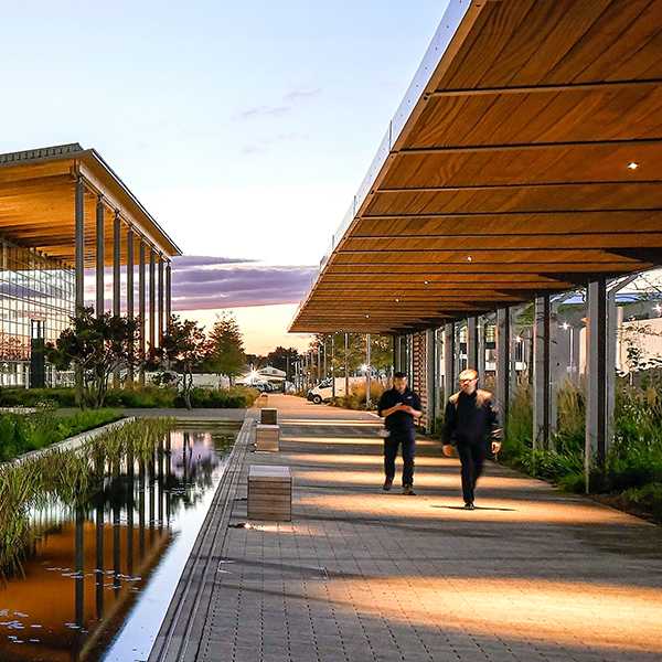 Canopies & Walkways