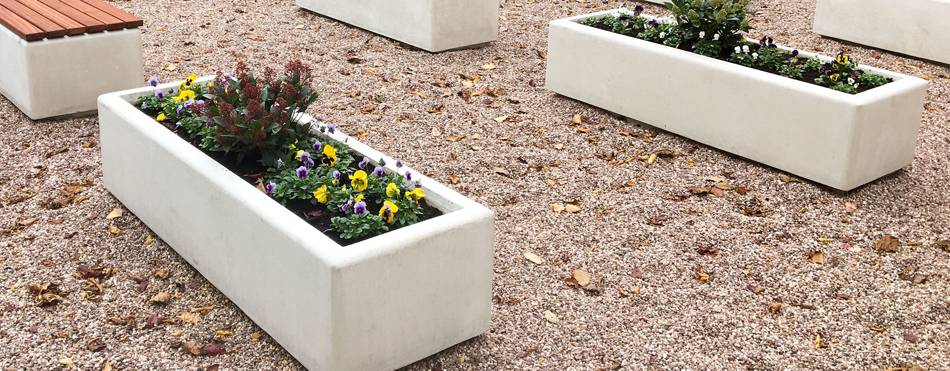 Concrete Planters