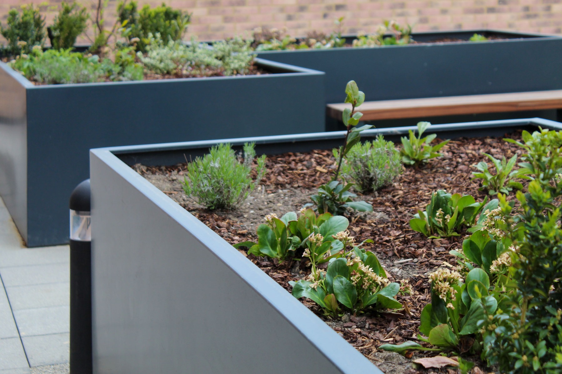 Belgravia Planter