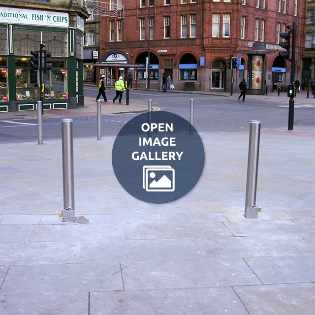 Removable Stainless Steel Bollard 