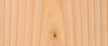 Douglas Fir Douglas Fir