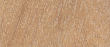 Iroko Iroko