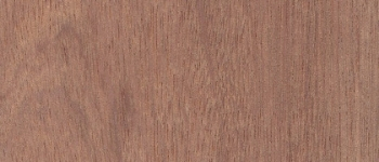 Sapele